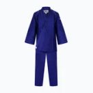 Sporturi de luptă Mizuno