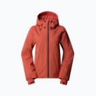 Jachete de schi The North Face