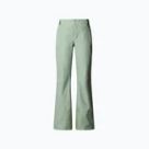Pantaloni de schi The North Face