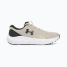Pantofi de alergare pe asfalt Under Armour