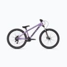 Biciclete pentru tineret