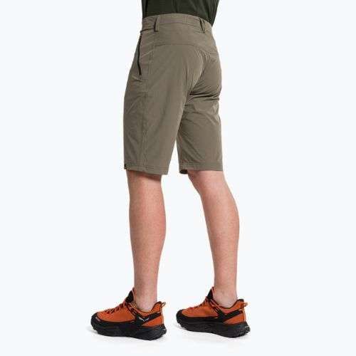 Pantaloni scurți de drumeție pentru bărbați Salewa Talveno DST maro 00-0000027064