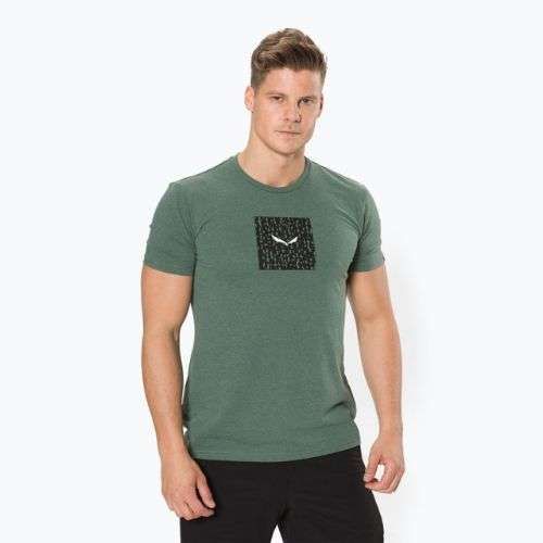 Cămașă de trekking pentru bărbați Salewa Pure Box Dry verde 00-0000028378