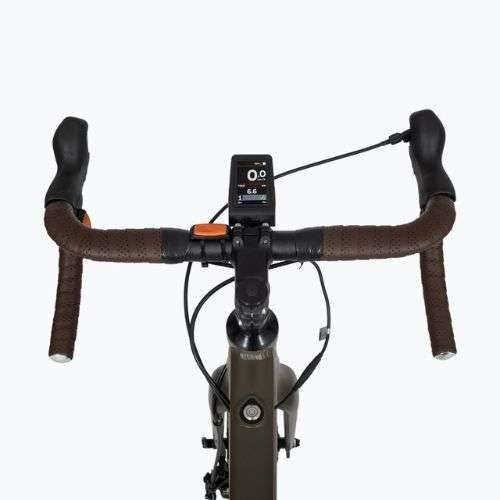 EcoBike Forest/9.7Ah bicicletă electrică verde 1010502