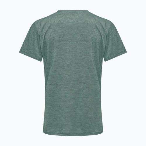 Tricou de trekking pentru bărbați Salewa Puez Melange Dry willow melange
