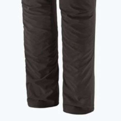 Pantaloni de trekking pentru bărbați Patagonia Terravia Alpine black