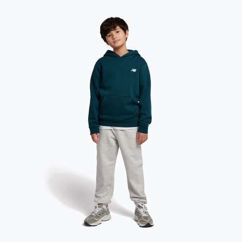Bluză pentru copii New Balance Brush Back Small Logo Hoodie medusa green
