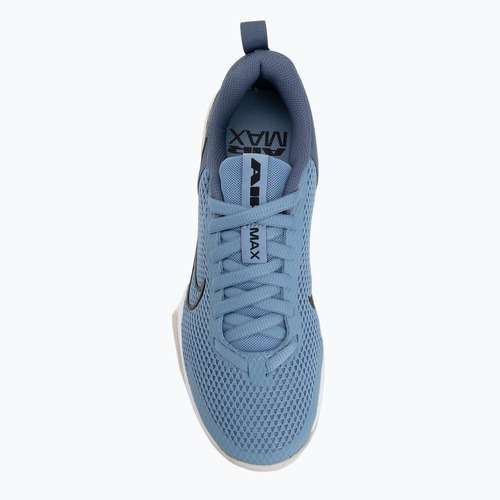 Încălțăminte de antrenament pentru bărbați Nike Air Max Alpha Trainer 6 work blue/diffused blue/black