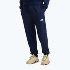 Pantaloni de trekking pentru bărbați The North Face Simple Dome Light Regular Tapered Jogger summit navy