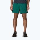 Pantaloni scurți pentru bărbați Patagonia Baggies 5" 95 oval logo/gem green