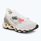 Încălțăminte Mizuno Wave Prophecy Beta nimclud/whte/geopeach