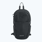 Rucsac de oraș REGATTA Everyday Prism 15 l ash