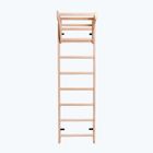BenchK bronz scara de gimnastică de bronz BK-111