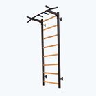 BenchK scara de gimnastică negru BK-221B