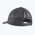 Șapcă Patagonia P-6 Logo LoPro Trucker forge grey 2