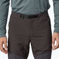 Pantaloni de trekking pentru bărbați Patagonia Terravia Alpine Pants black 3