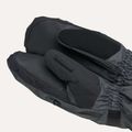 Mănuși de snowboard pentru bărbați Dakine Titan Gore-Tex Mitt carbon 6