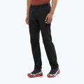 Pantaloni de trekking pentru bărbați Salomon Wayfarer Warm deep black