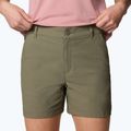 Pantaloni scurți de trekking pentru femei Columbia Leslie Falls Short II stone green 5