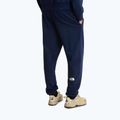 Pantaloni de trekking pentru bărbați The North Face Simple Dome Light Regular Tapered Jogger summit navy 3