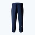 Pantaloni de trekking pentru bărbați The North Face Simple Dome Light Regular Tapered Jogger summit navy 5