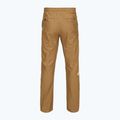 Pantaloni pentru bărbați The North Face Limestone utility brown 2
