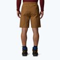 Pantaloni scurți pentru bărbați The North Face Limestone utility brown 3
