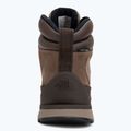 Încălțăminte pentru bărbați The North Face Back To Berkeley IV Leather WP demitasse brown/garnet 6