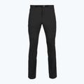 Pantaloni de trekking pentru bărbați Patagonia Terravia Alpine black