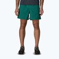 Pantaloni scurți pentru bărbați Patagonia Baggies 5" 95 oval logo/gem green