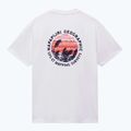 Tricou pentru bărbați Napapijri S-Vignonil Back white heron 6