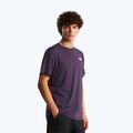 Tricou pentru bărbați The North Face Evolution Box NSE endless dusk