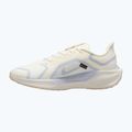 Încălțăminte de alergare pentru bărbați Nike Pegasus 41 GTX sail/football grey/sundial/ashen slate 9