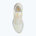 Încălțăminte de alergare pentru bărbați Nike Pegasus 41 GTX sail/football grey/sundial/ashen slate 10