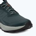Încălțăminte de drumeție pentru bărbați Salomon Elixir Activ GTX scarab/green gable 7
