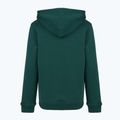 Bluză pentru copii New Balance Brush Back Small Logo Hoodie medusa green 7