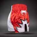 Pantaloni scurți de antrenament Venum Inferno 2.0 Muay Thai red/white 4