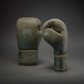 Mănuși de box Venum Stealth Boxing khaki/dark green 2