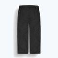 Pantaloni de schi pentru bărbați Picture Plan black 10