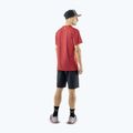 Pantaloni scurți de trekking pentru bărbați DYNAFIT Transalper Light Dynastretch black out/0730 3