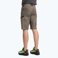 Pantaloni scurți de drumeție pentru bărbați Salewa Lavaredo Hemp Hemp maro 00-0000028033 3
