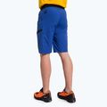 Pantaloni scurți de drumeție Salewa Agner Light pentru bărbați, albastru 00-0000027380 3