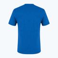 Tricou de trekking pentru bărbați Salewa Alpine Hemp Logo albastru 00-0000028132 5