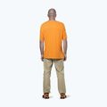 Tricou de trekking pentru bărbați  Salewa Agner Hemp/Dst turmeric 3