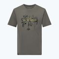 Bărbați Salewa Eagle Nature faded verde T-shirt