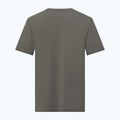 Bărbați Salewa Eagle Nature faded verde T-shirt 2