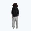 Bluză pentru bărbați Alpha Industries Puff Print Hoodie black 3