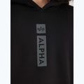 Bluză pentru bărbați Alpha Industries Puff Print Hoodie black 5