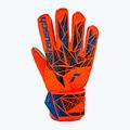 Mănuși de portar Reusch Attrakt Starter Grip hyper orng/elec blue 2