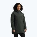 Geacă cu puf pentru femei Jack Wolfskin Icecape 2L Down Ins Rds slate green